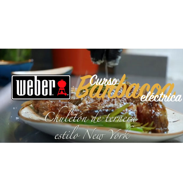 cabecera-curso-basico-barbacoas-electricas-chuleton