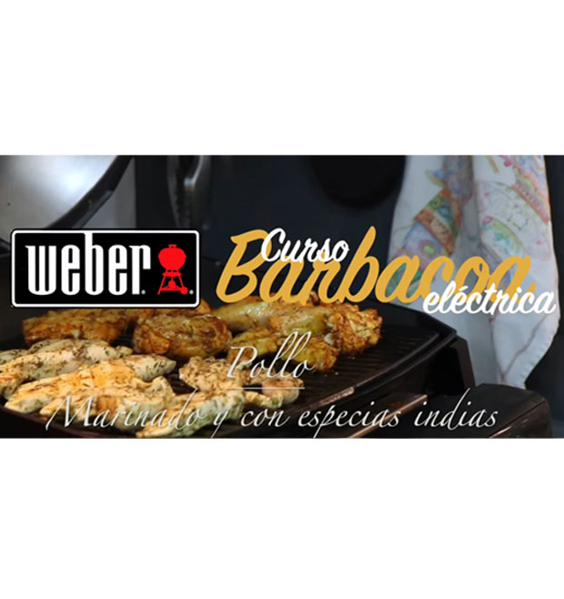 cabecera-curso-basico-barbacoas-electricas-pollo