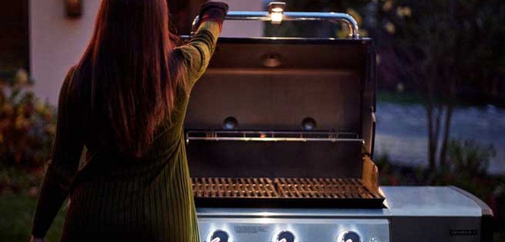 weber-genesis-ex-315-ouvert