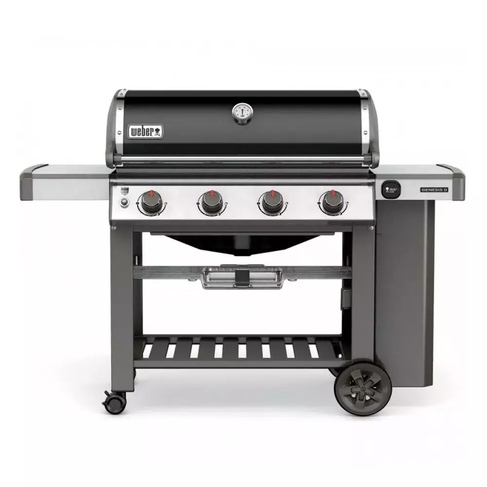 barbacoa weber gas genesis II