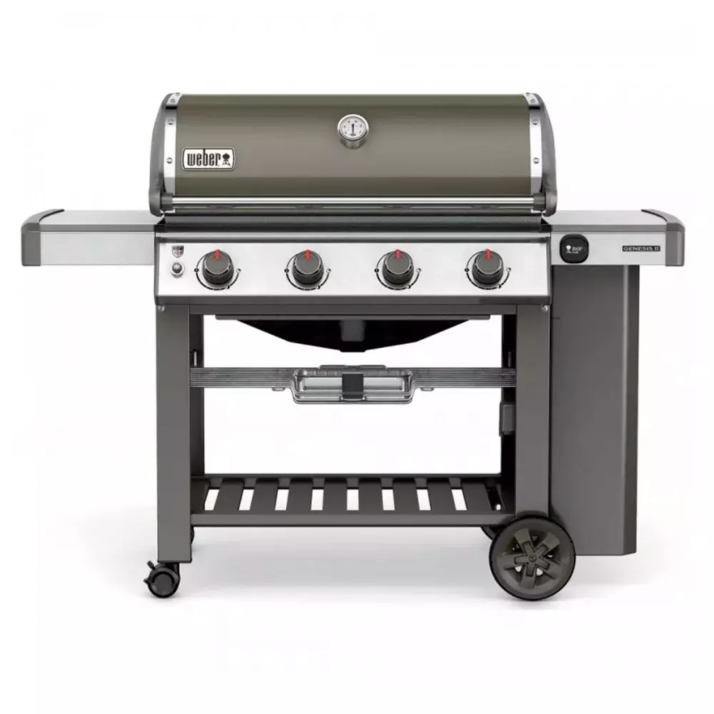 barbacoa weber gas genesis II