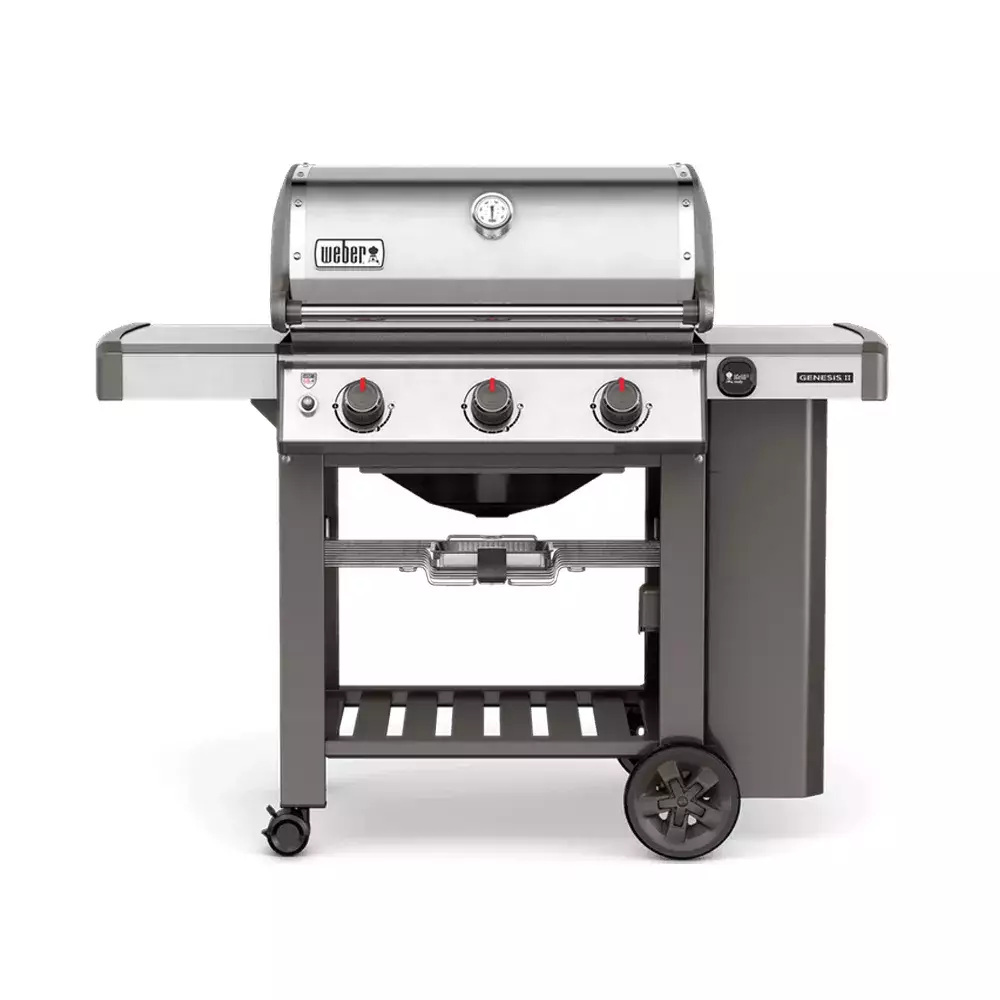 barbacoa weber gas genesis II