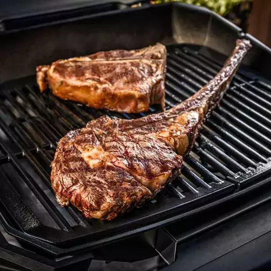 PULSE 2000 BARBACOA ELECTRICA