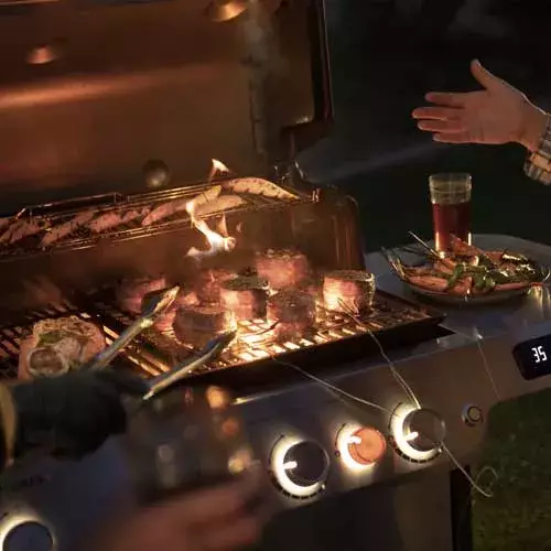 Barbacoa_Weber_Gas_Genesis_SX_435