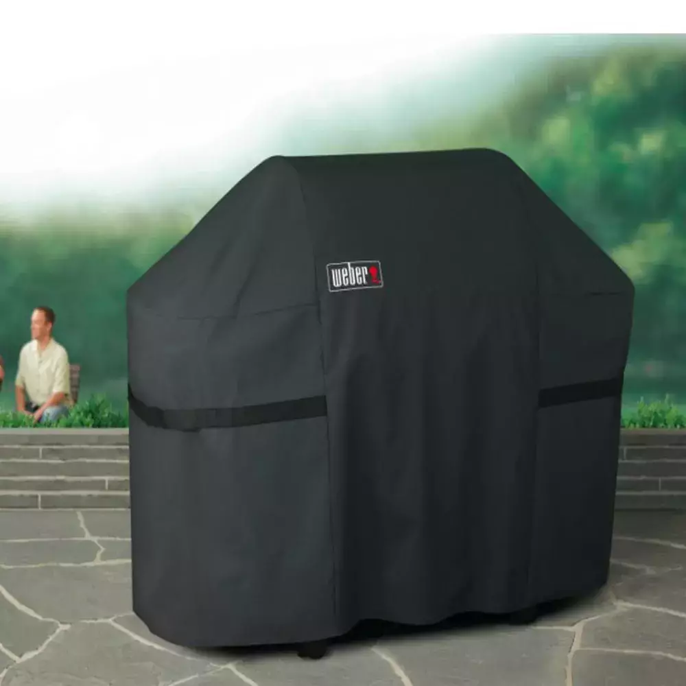 barbacoa weber gas summit