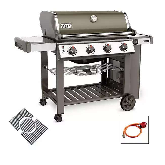 barbacoa weber gas genesis II